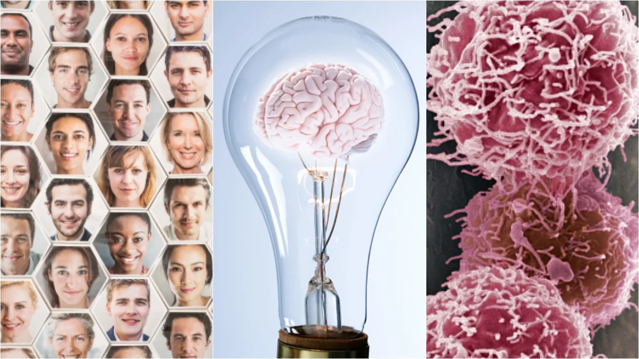 Social Neuroscience Lab Logo